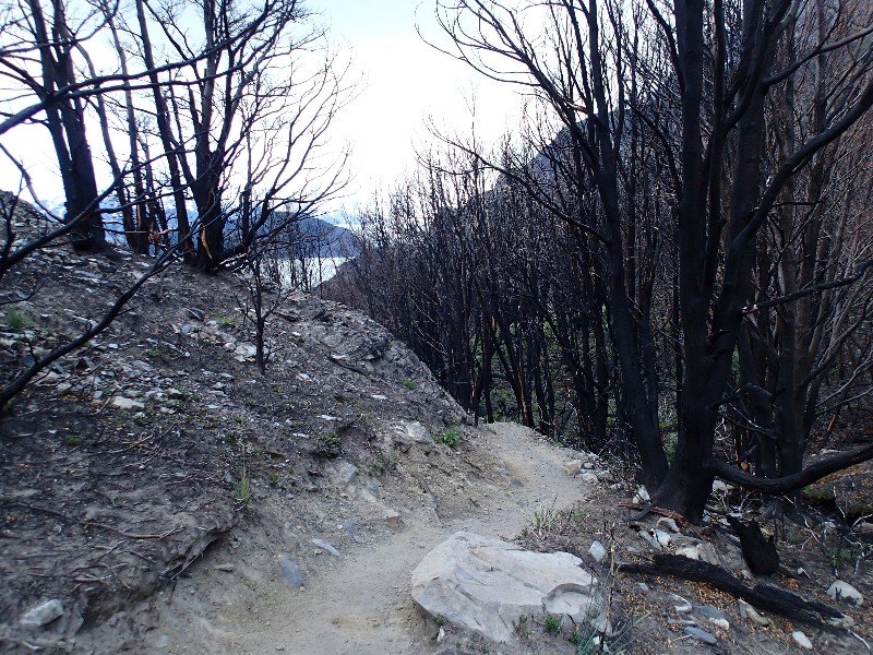 Section of the park destroyed by fire