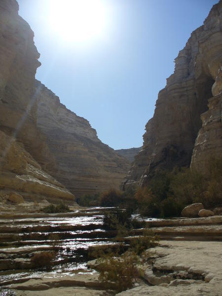 ein ovdat canyon and stream
