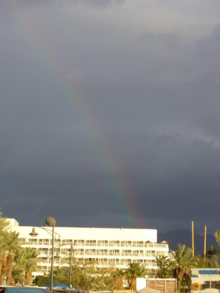 rainbow special