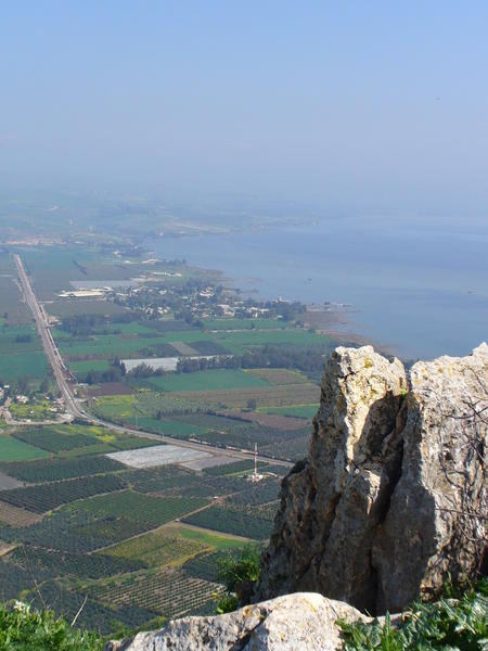 view from Mt Arbel