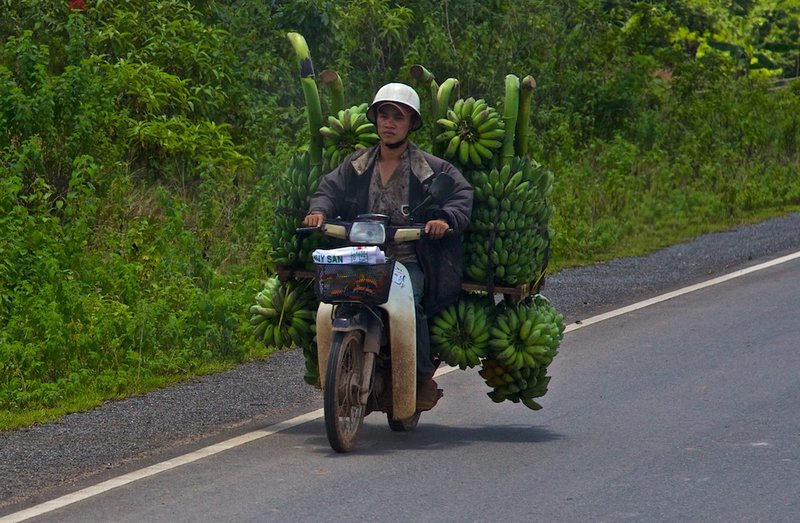Banana carrying in Laos