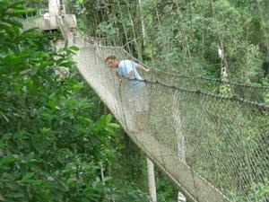 Looking over the canopy walk...