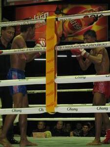 Thai Boxers