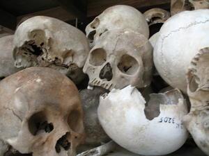 Skulls of Genocide