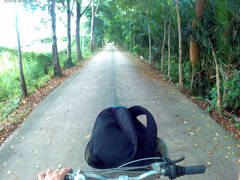 Cycling in Bang Krachao