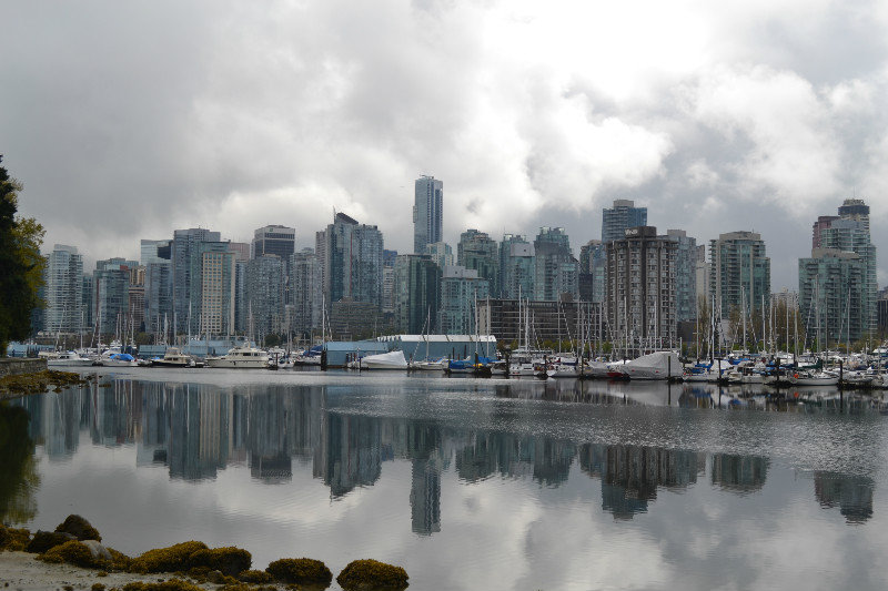 view from Stanley park