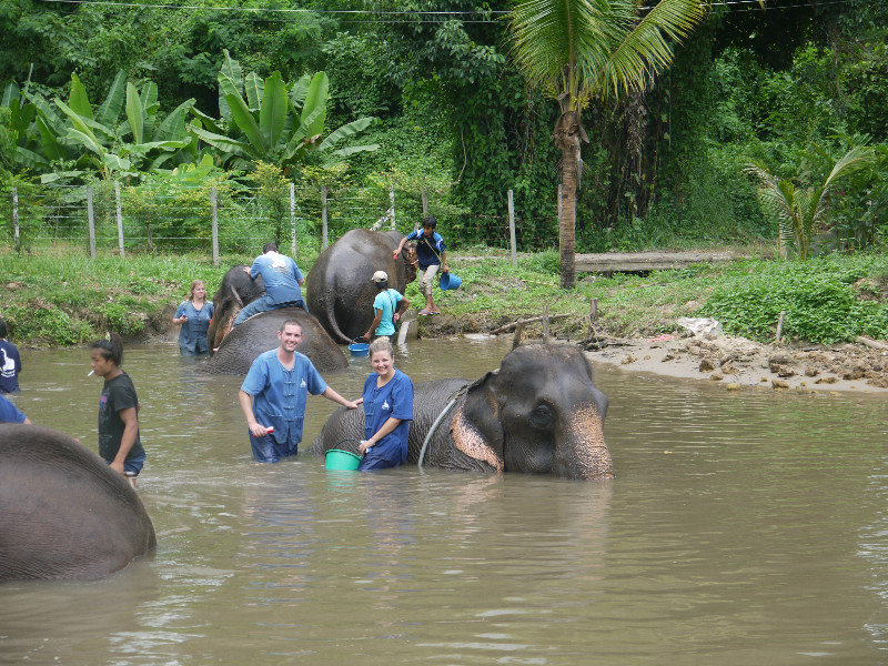Baan Chang Elephant Park