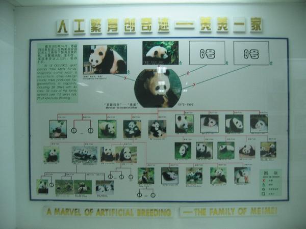 Mei Mei's Family tree