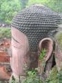 Giant Buddha's Head