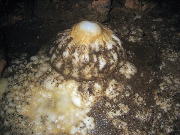 Egg looking stalagmite