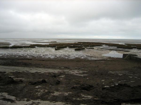 Farwell Spit area at low tide