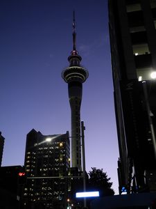 skytower by night