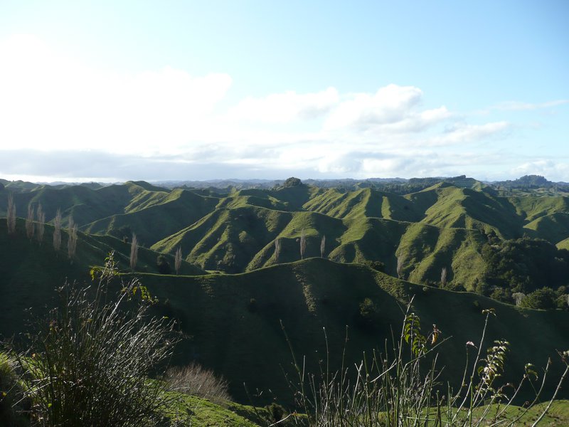 grüne Hügel