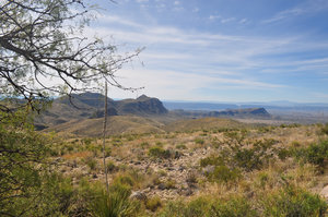 Big Bend Big Bend