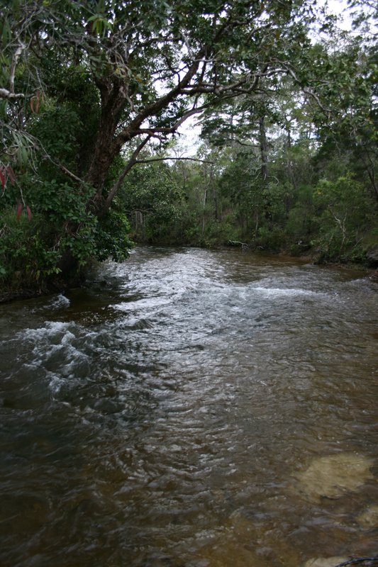 Bertie Creek
