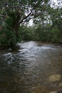 Bertie Creek