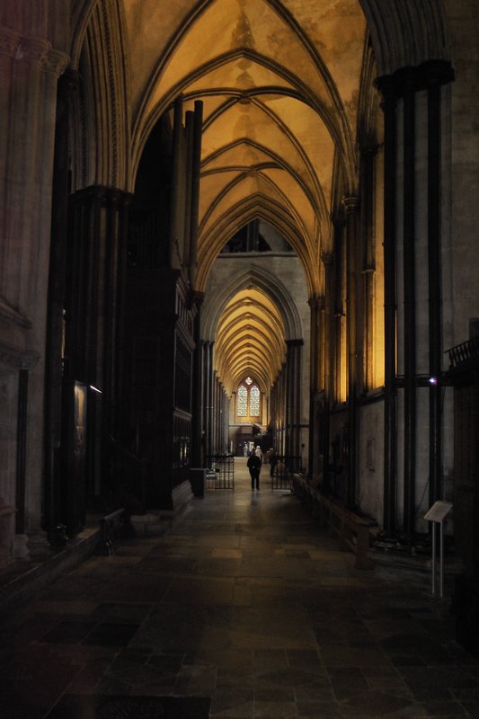 Aisle In The Cathedral