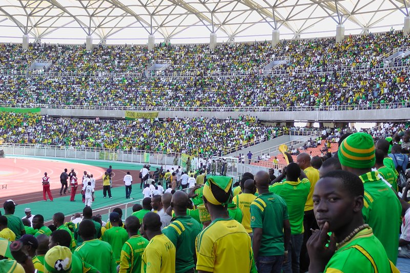 Fans In The Stadium
