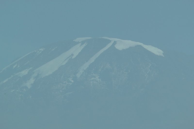 Close-Up Of Kilimanjaro