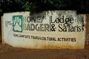 The Honey Badger Lodge