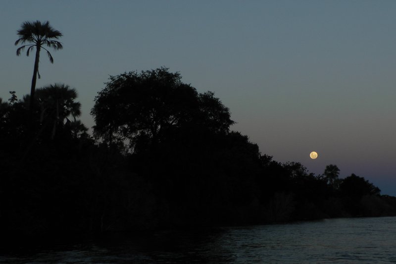 Full Moon Rising Over The Zambezi