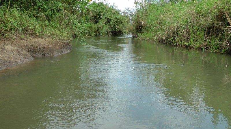The River At Rashid's Farm