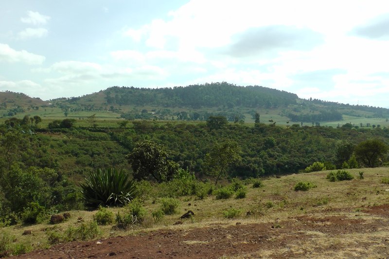 The Hills Around Karatu