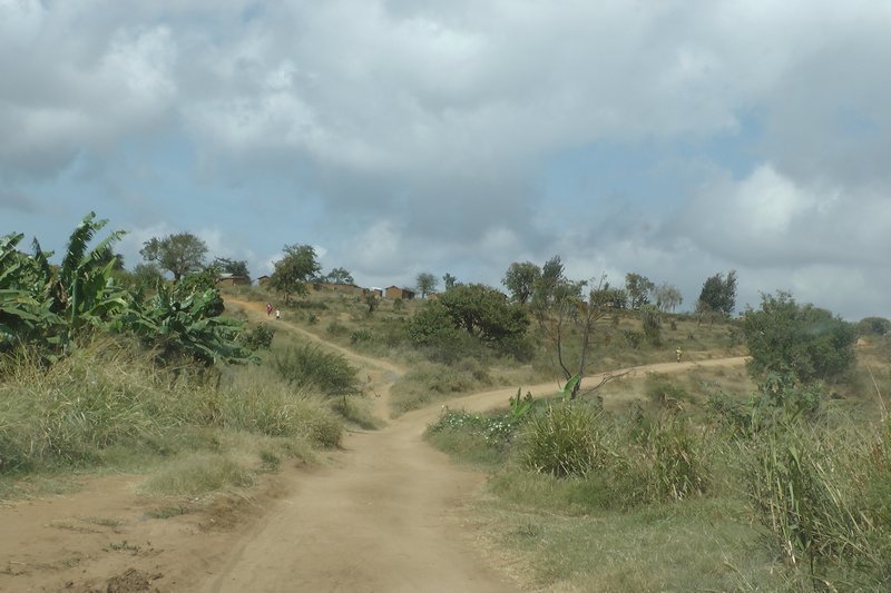 The Road To Mgongwe