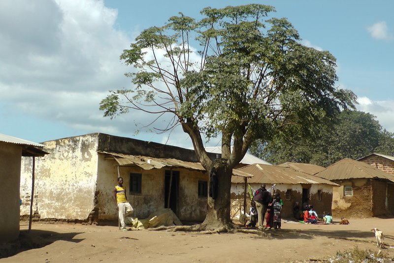 Local House On The Main Street Of Mgongwe