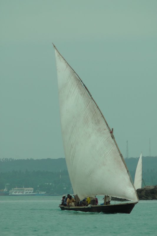 Dhow At Full Sail