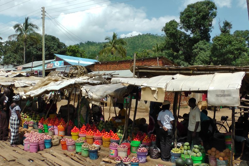 Roadside Market Outside Morogoro
