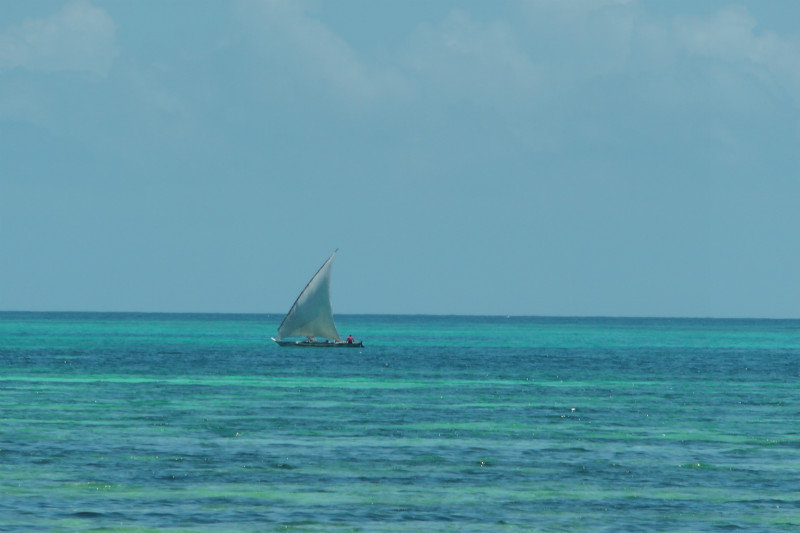 A Dhow In The Distance