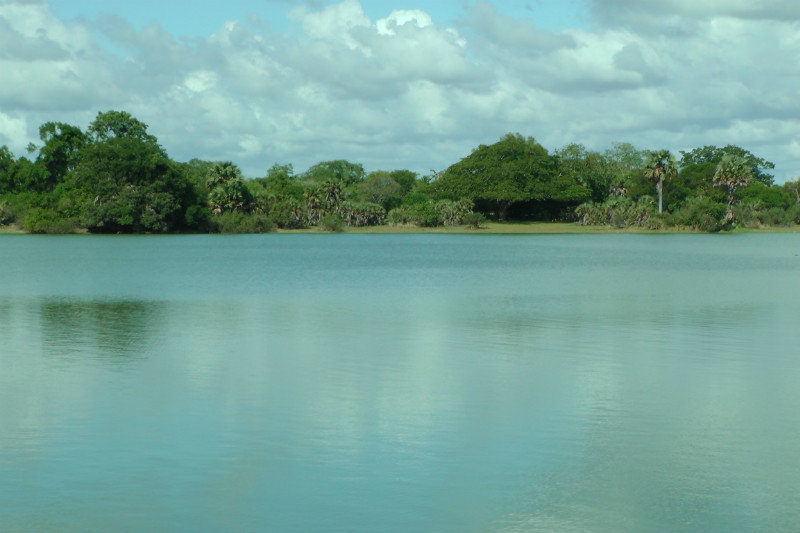 One Of The Many Lakes In Selous