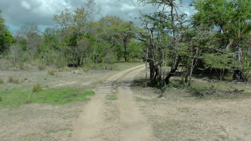 The Roads We Traveled Throughout The Reserve