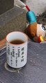 Porcelin Tea Cup