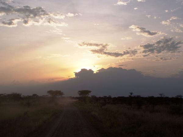 A Serengeti Sky