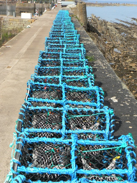 lobster pots at Burnmouth harbour