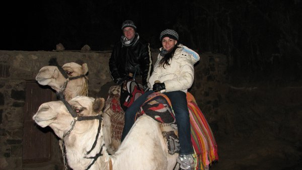 Camel trek up Mt. Sinai