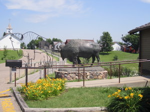 National Buffalo Museum