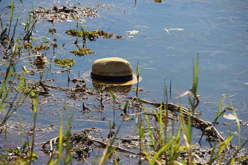 Someone lost their hat - don't know why they didn't jump in and get it :)