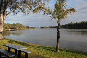 The Murray River at Renmark