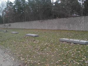 Mass Grave Sites