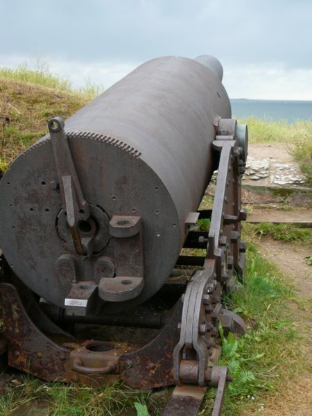Cannon Pointing to Sea