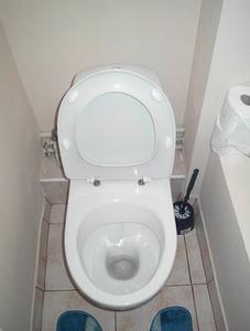 Toilet Design