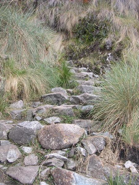 Typical inca trail.
