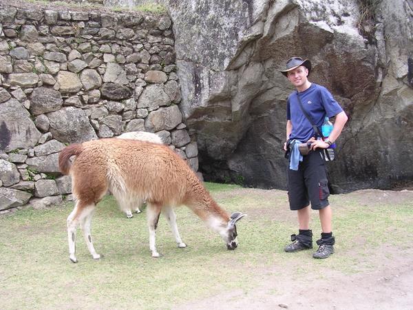 Llama and me in Machu Picchu.