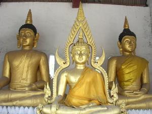 Meditating Buddha's