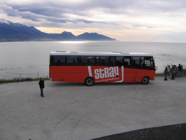 The Stray Bus above Kaikoura