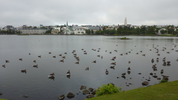 Reykjavik city park