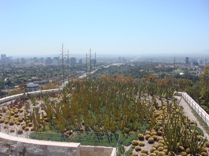 The fab cactus garden